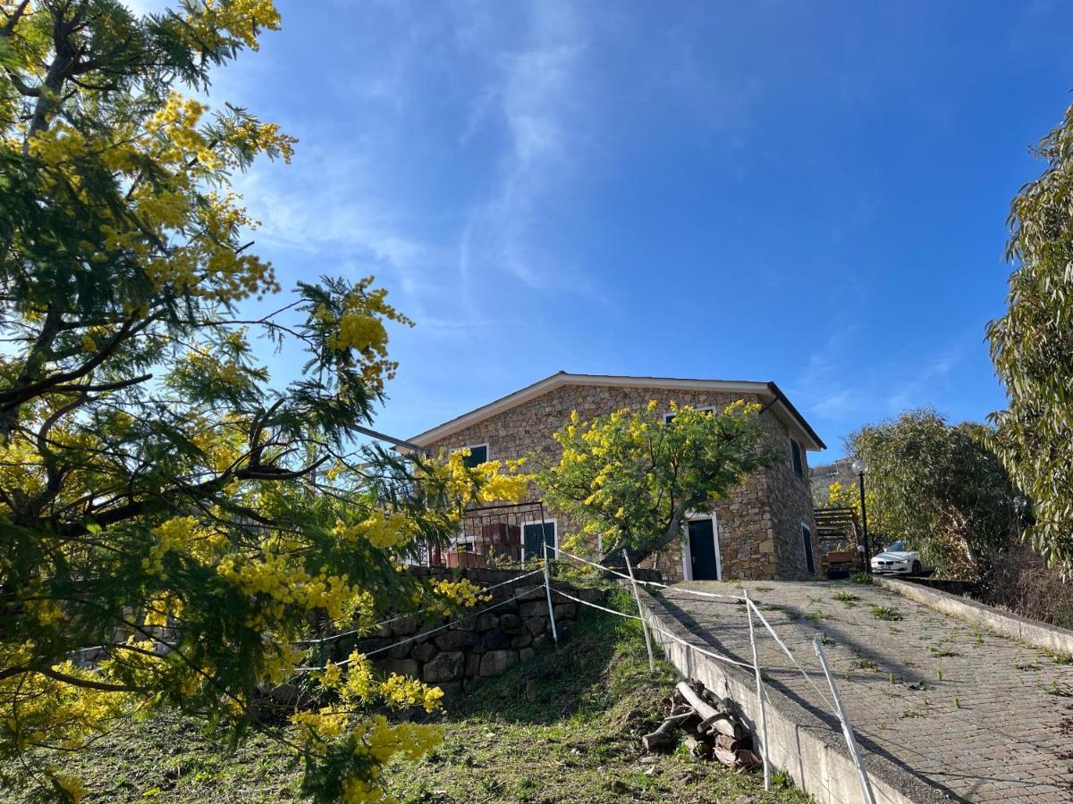 Agriturismo Le Mimose Imperia Exterior photo